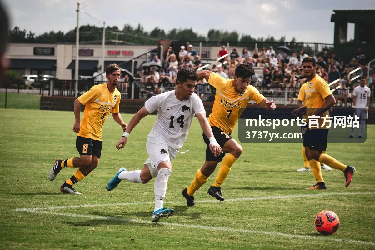 mksports官方网站账号安全功能示意图